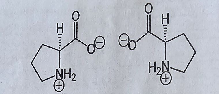 نمایی از دوشکلی اسیدآمینه پرولین